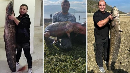 Bursa'da amatör balıkçılara gün doğdu: Boğazköy Barajı kuruyunca dev balık avına çıktılar! - Yaşam