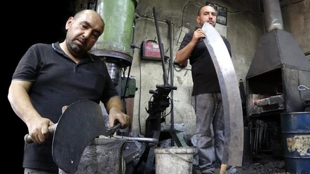 Gaziantep'te 1 metre 50 santimetre boyunda et satırı! 60 bin liraya alıcısını bekliyor - Yaşam