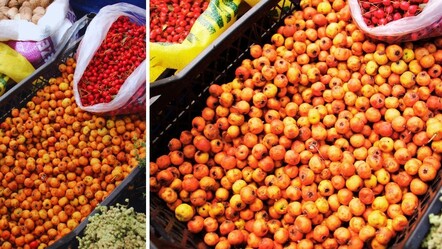 Doğada kendiliğinden yetişiyor! 'Şifa deposu' tezgahlarda yerini aldı: Kilosu 100 TL - Yaşam