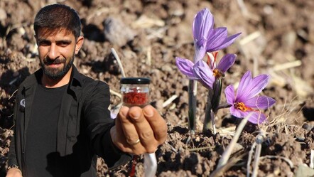 Kilo ile almak neredeyse imkansız! 'Kırmızı altının' sadece 1 gramı 500 lira - Yaşam