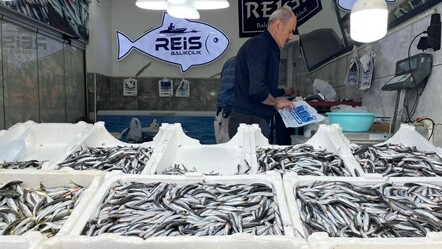 Tezgahların en ucuz balığı! Kilosu 100 liradan satılıyor - Ekonomi