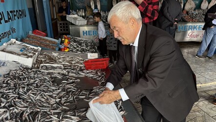 Hamsideki bolluk fiyatlara yansıdı! 4 kilosu bakın kaç liraya satılıyor - Ekonomi