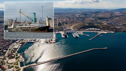 Bandırma Limanı'nda 'yüzen ahır' krizi! 'Spiridon-II' gemisi günlerdir tahliye edilemiyor! - Gündem