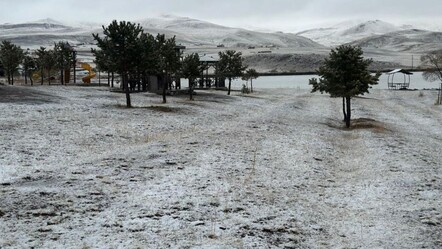 Erzurum beyaza büründü! Araçlar karlı yolda kaldı - Yaşam