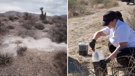 ABD'de tüyler ürperten olay! Çölde 315 insan külü bulundu - Dünya
