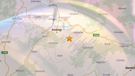 Balıkesir Sındırgı hafta sonuna depremle uyandı! 4,2 ile sallandılar - Gündem