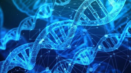 DNA'nız kökeninizi ele verecek! Yeni sistem kimliğinizi çözüyor - Yaşam