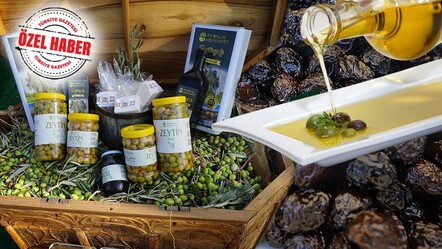 Ayvalık’ta doğup İspanyol oluyor! Dökme zeytinyağımız İspanya markası gibi satıldı - Ekonomi