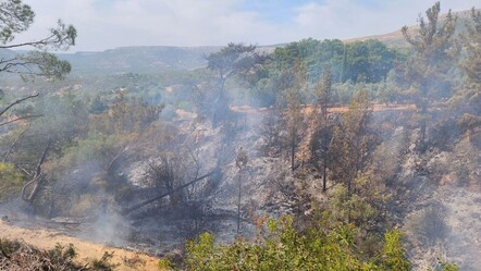 Mersin'de feci olay: Bahçeyi temizlemek için yaktığı ateşte can verdi - 3. Sayfa