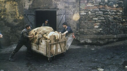 35 senelik İstanbul hikâyeleri! Yıldız Çelik’in karelerine online erişim - Kültür - Sanat