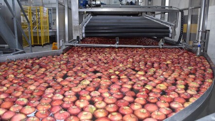 Karaman'dan Kenya'ya... Elmayla 25 ülkeye açıldı, hedef Avrupa pazarı - Ekonomi