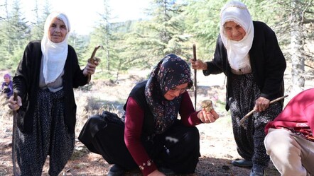Japonya, Çin ve Güney Kore kapımıza dizildi! Kadınlar sabah ezanında toplamaya gidiyor - Yaşam