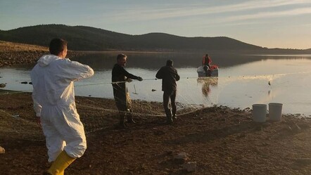 5 kilometrelik hayalet ağ toplandı! Yüzlerce balık kurtarıldı - 3. Sayfa