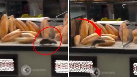 Romanya'da ekmek tezgahında mide bulandıran görüntüler! Sosyal medya ayaklandı - Dünya