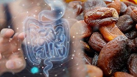 Doğal bağırsak ilacı! Yiyince anında rahatlatıyor, şişkinliği gideriyor - Sağlık