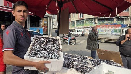 Fanatik balıkçı Avrupa maçı sonrası çıldırdı! Hamsinin kilosunu 25 TL'den sattı - 3. Sayfa