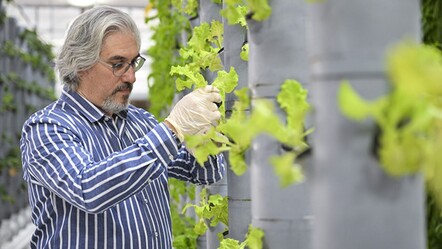 Ne bahçe var ne toprak! 40 metrekarelik alanda 750 bitkiyle geleceğe umut oldular - Yaşam