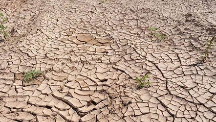 Adana'da yağışlar son 52 yılın en düşük seviyesine geriledi - Yaşam