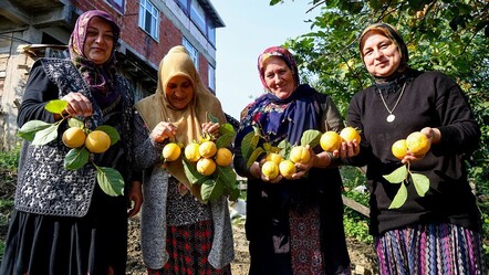 Ev hanımlarının yeni gelir kapısı! Sipariş yağıyor, kilosu 600 liradan satılıyor - Ekonomi