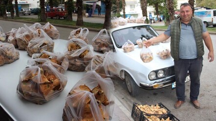Antalya'da mantar bereketi: Ormanda kendiliğinden yetişiyor, kilosu 500 TL'den alıcı buluyor - Yaşam