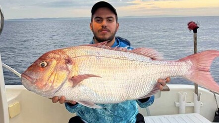 Çanakkale'de balıkçıların oltasına 12 kilogramlık mercan balığı takıldı - Yaşam