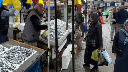 Havalar bozdu, hamsinin fiyatı 3'e katlandı! Etiketi gören şaşırıyor - Ekonomi