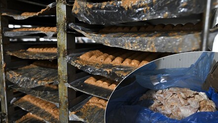 Vatandaşa yedireceklerdi! Ankara'da 64 ton sağlıksız köfte ele geçirildi - Gündem