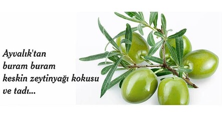 Bir markanın doğuşu - EDİTÖRÜN SEÇTİKLERİ