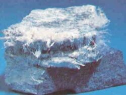 Asbestli toprağa dokunan ölüyor - dunya