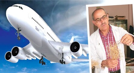 Ketencik tohumundan yerli jet yakıtı - ekonomi