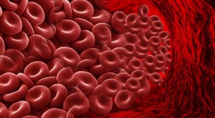 Aşırı yorgunluk KML belirtisi olabilir - saglik