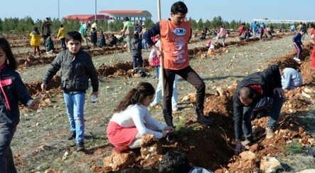 Minik öğrenciler 10 bin fidan dikti - gundem