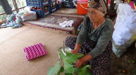 Anadolu'nun unutulmuş tadı: Teleme yoğurdu - kultur-sanat
