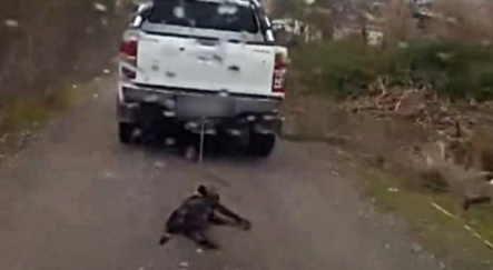 Mersin'de vicdansız adam köpeği aracın arkasında sürükledi - gundem