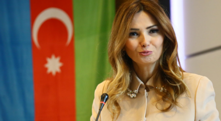 Azeri vekil Paşayeva: Türkiye’yi zayıflatmaya sizin gücünüz yetmez - gundem