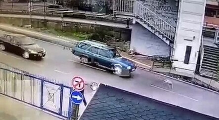 Yavru köpeği ezip kaçan araç sürücüsüne tepki - gundem