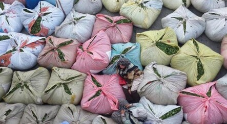 Çay alım fiyatı üreticiyi sevindirdi - ekonomi