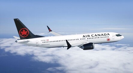 Türbülansa giren uçakta 37 kişi yaralandı - dunya