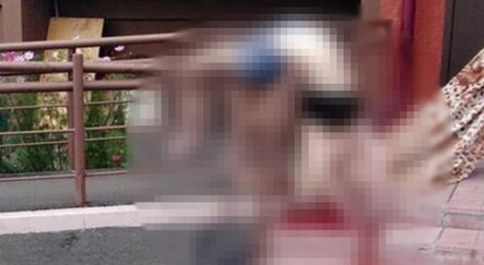 18 yaşındaki genç kız selfie çekerken hayatını kaybetti - dunya