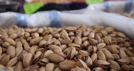 Tarım ürünleri ihracatında sert kabuklu meyveler lider - ekonomi