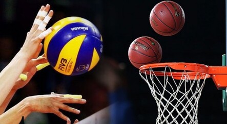 Basketbol ve voleybolda ligler sonlandırıldı - dunya