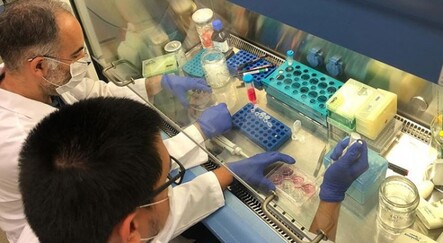 Lamalardan alınan iki antikor, laboratuvar ortamında Covid-19'u etkisizleştirdi - yasam