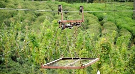 Teleferikten düşen çay işçisi hayatını kaybetti - yasam