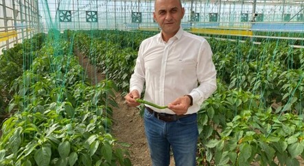 Türk mühendislerden yerli tohum hamlesi - yasam