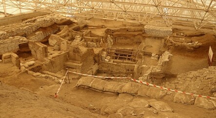 60 yıldır süren Çatalhöyük kazısı başkanlığına ilk defa Türk bilim insanı getirildi - yasam