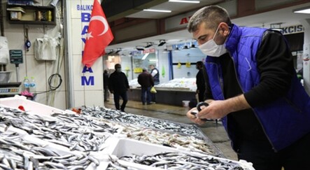Balıkçılar palamuttan sonra hamsiden umutlu - ekonomi