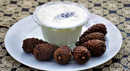 Dağdan topladığı çam kozalaklarıyla yoğurt yapıyor - saglik