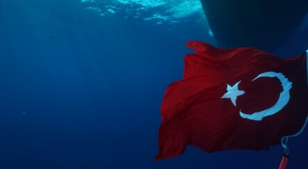 Türk fotoğrafçılar Kızıldeniz'in su altı güzelliklerini yansıttı - gundem