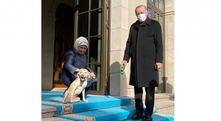 Emine Erdoğan, Cumhurbaşkanı Erdoğan'ı “Leblebi” ile birlikte uğurladı - saglik
