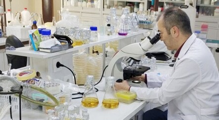 Yeni bir tür toprak bakterisi keşfedildi - saglik
